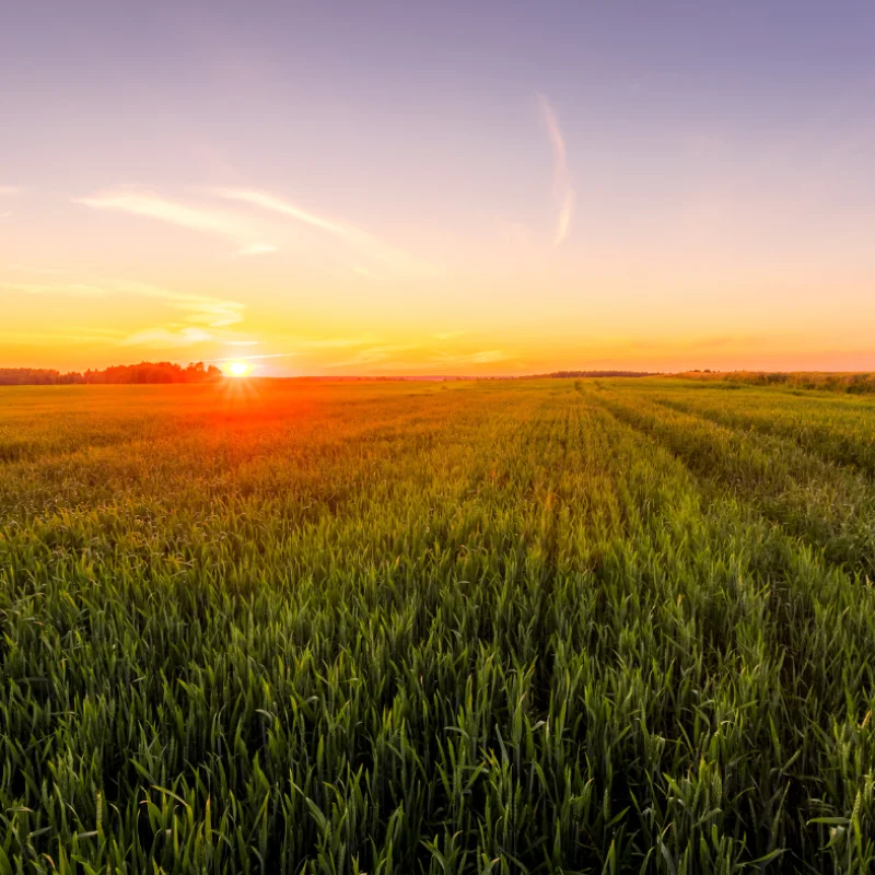 تصميم-بدون-عنوان-2024-07-16T103605.725-qr6rho4iogc7nyfpli59o6umfk5iqkwpir70v9b2o0