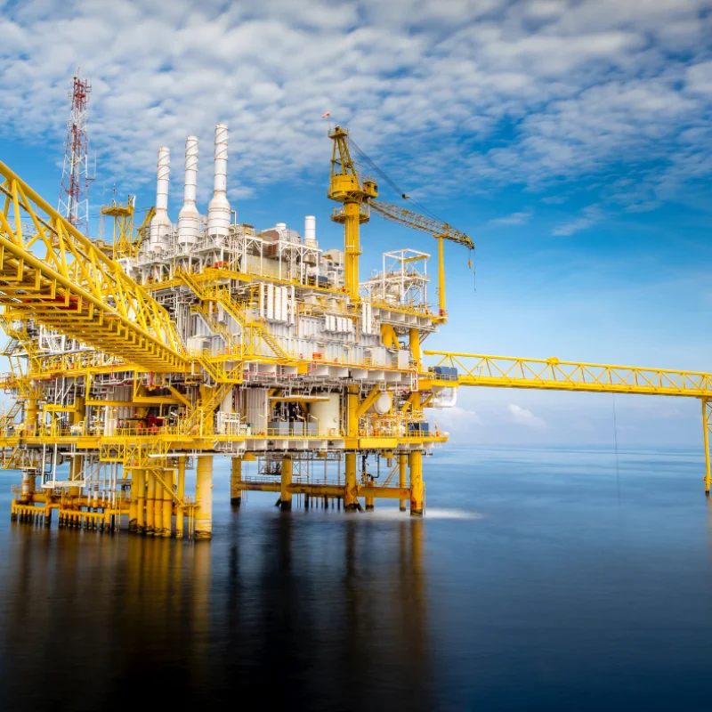 تصميم-بدون-عنوان-2024-07-16T103707.098-qr6rklefxwcbsa6sirnhfga8ypqmooin989em8yzb4